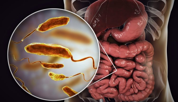 Emergency Live | Halting Cholera, Harvard Medical School: “new vaccine target discovered”