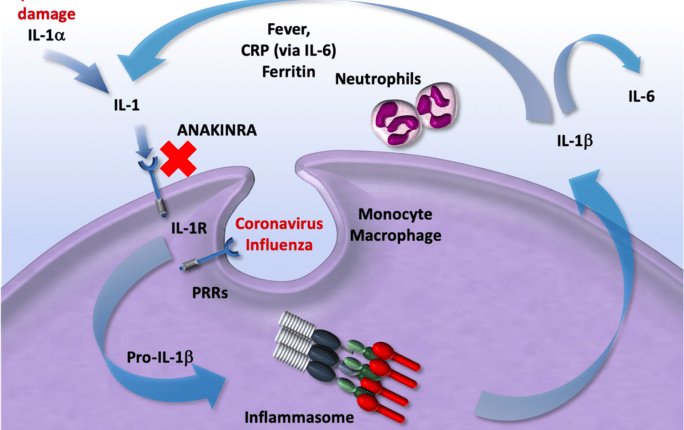 COVID-19, the role of immunomodulators (anakinra, sarilumab, siltuximab and tocilizumab) in treatment