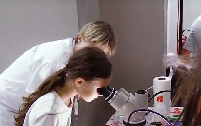 Covid-19, a new variant never before described in Italy found in Campania: watch out for B.1.525