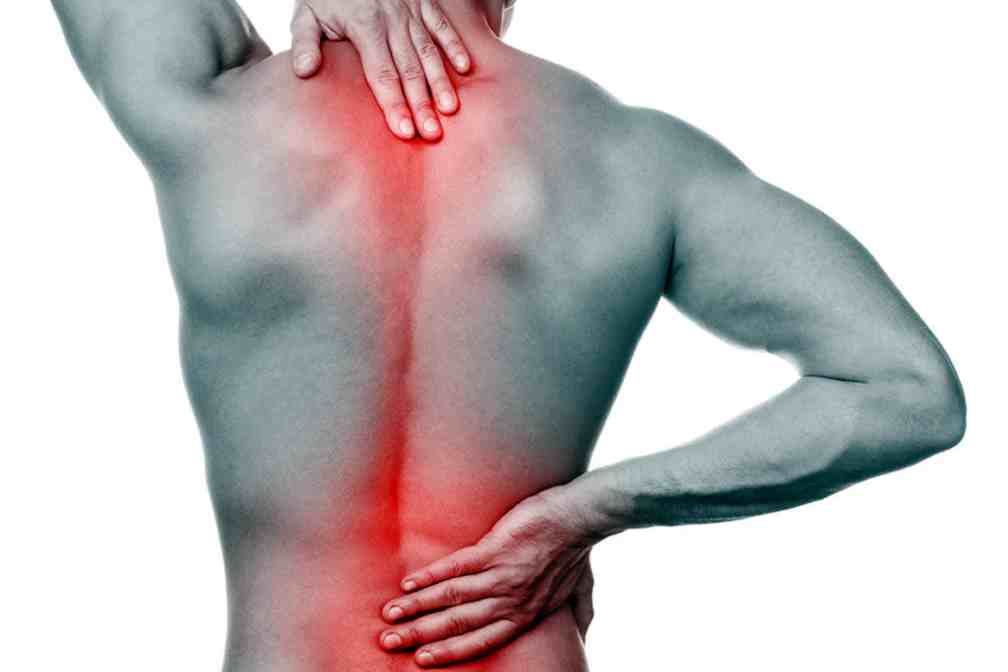 Dolor de espalda media: causas y soluciones - VALIDA