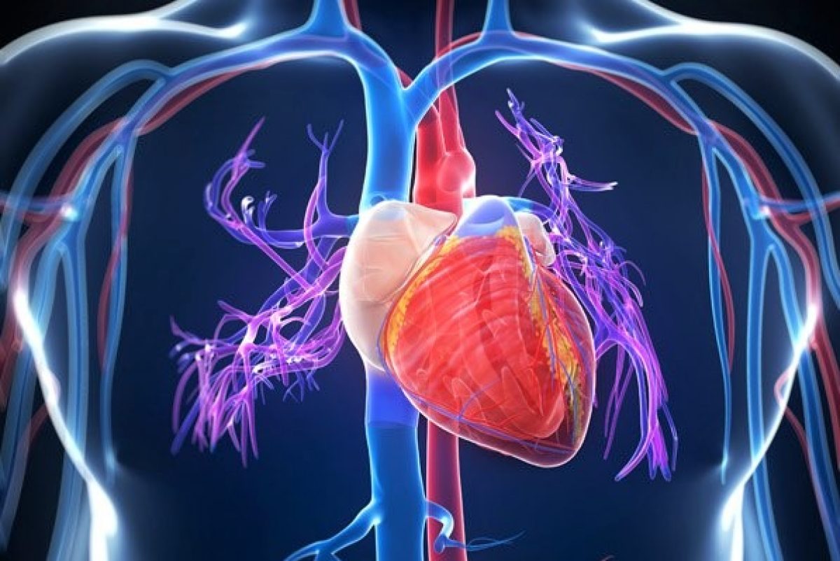 stresszteszt mets és a szív egészsége a hipertónia modern megközelítései