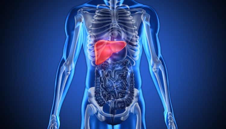 liver cysts