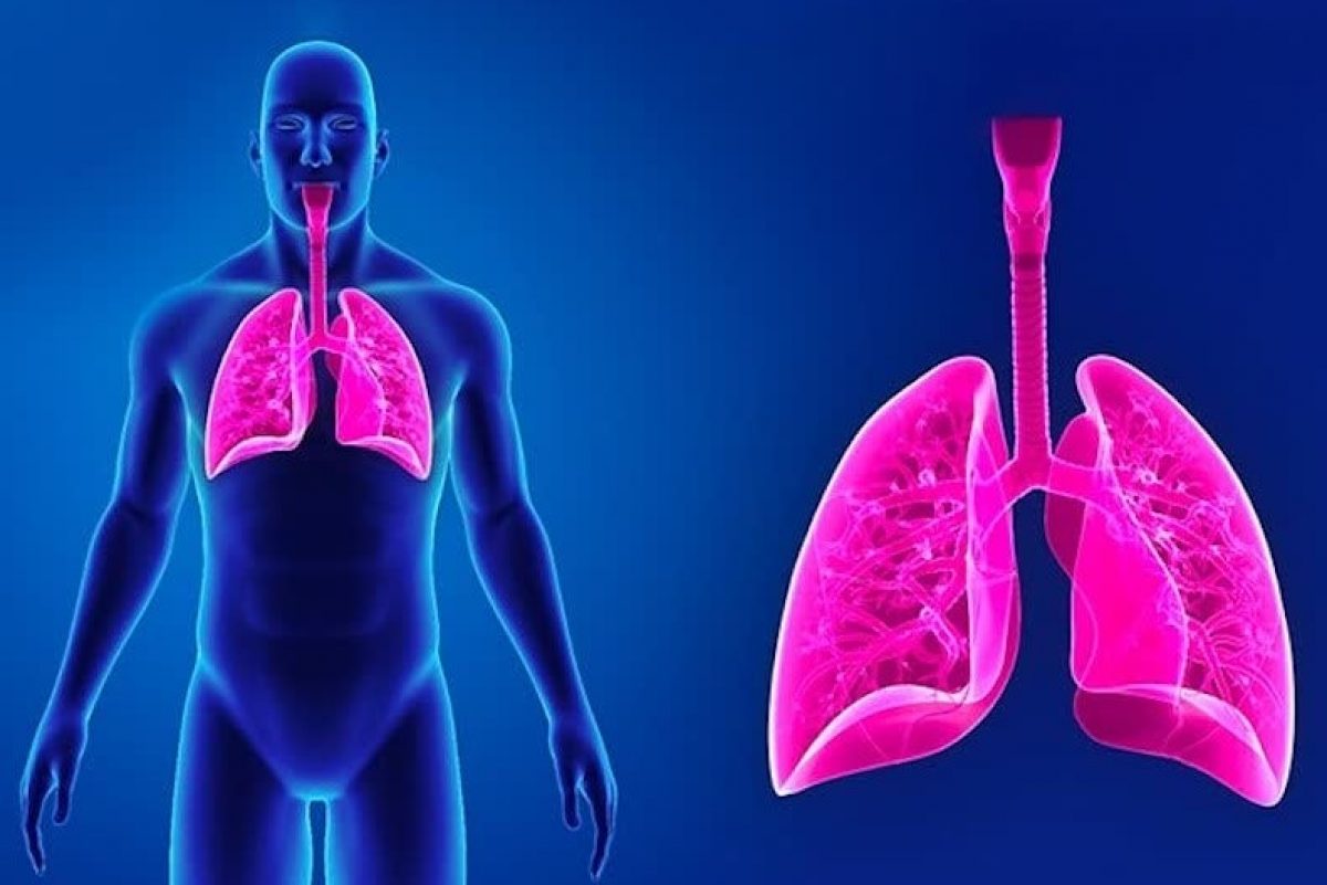Notions of First Aid: the 3 symptoms of a pulmonary embolism Notions of First Aid: the 3 symptoms of a pulmonary embolism