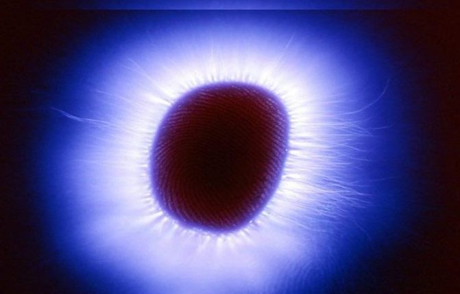 Halos eye