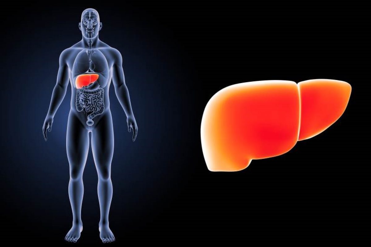 Hepatic steatosis: causes and treatment of fatty liver | Emergency Live Hepatic steatosis: causes and treatment of fatty liver | Emergency Live