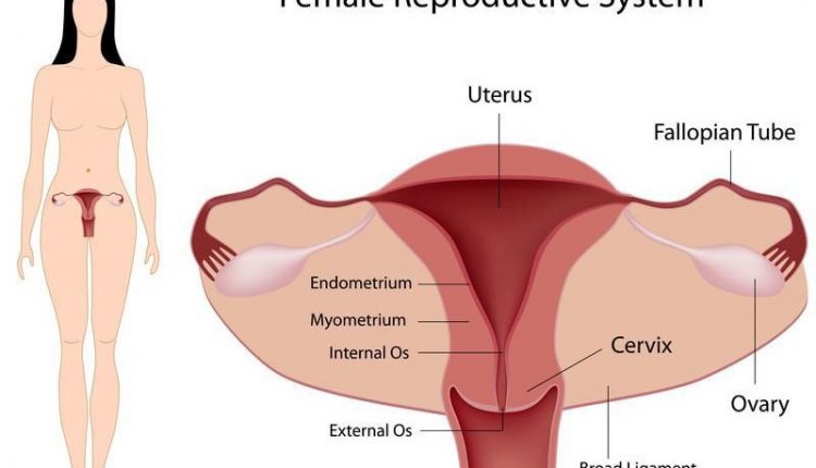 Salpingite crônica: o que é, sintomas, causas e tratamento - Tua Saúde