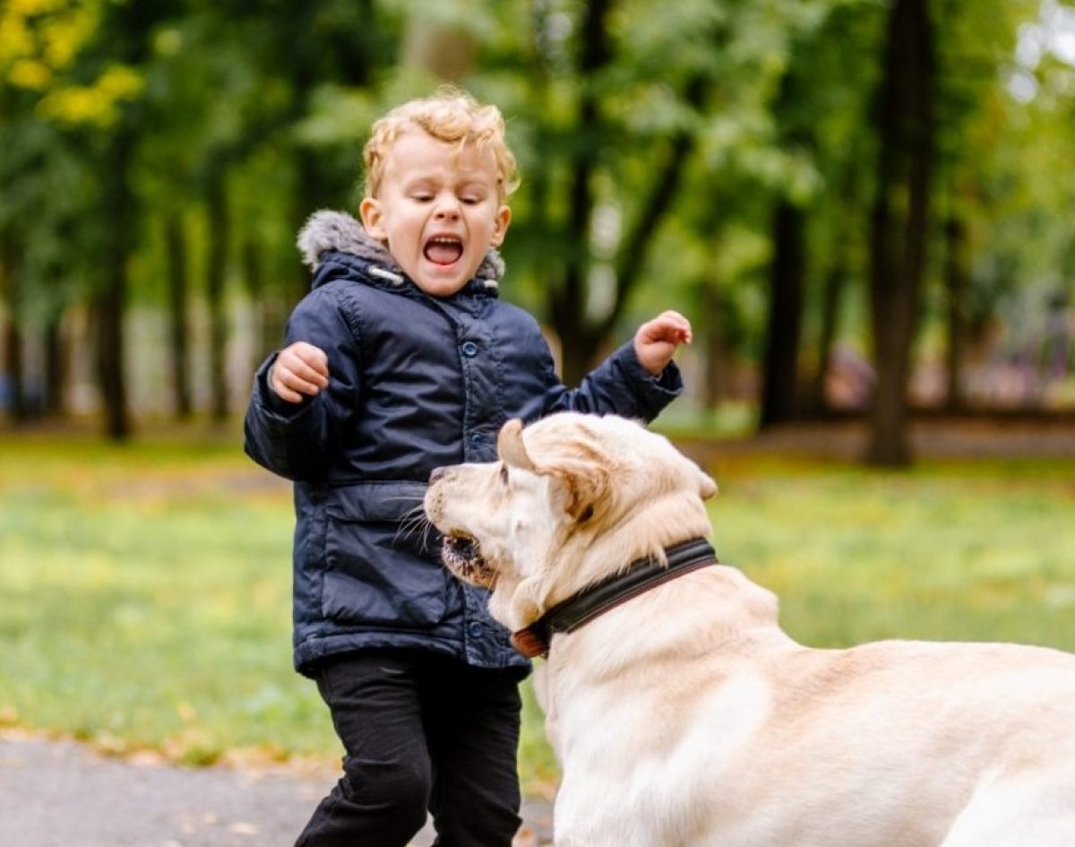 What is Zoophobia (fear of animals)? | Emergency Live What is Zoophobia (fear of animals)? | Emergency Live
