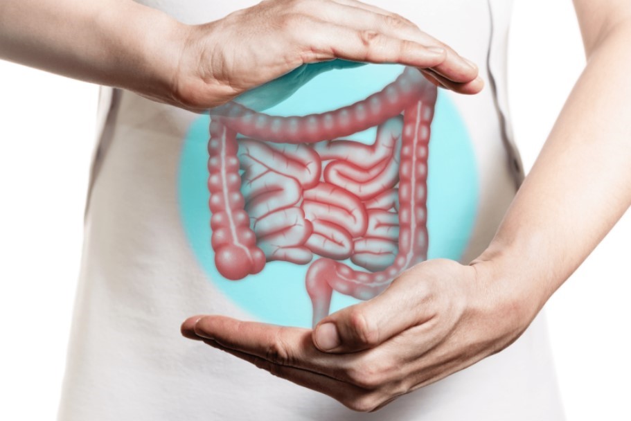diverticula