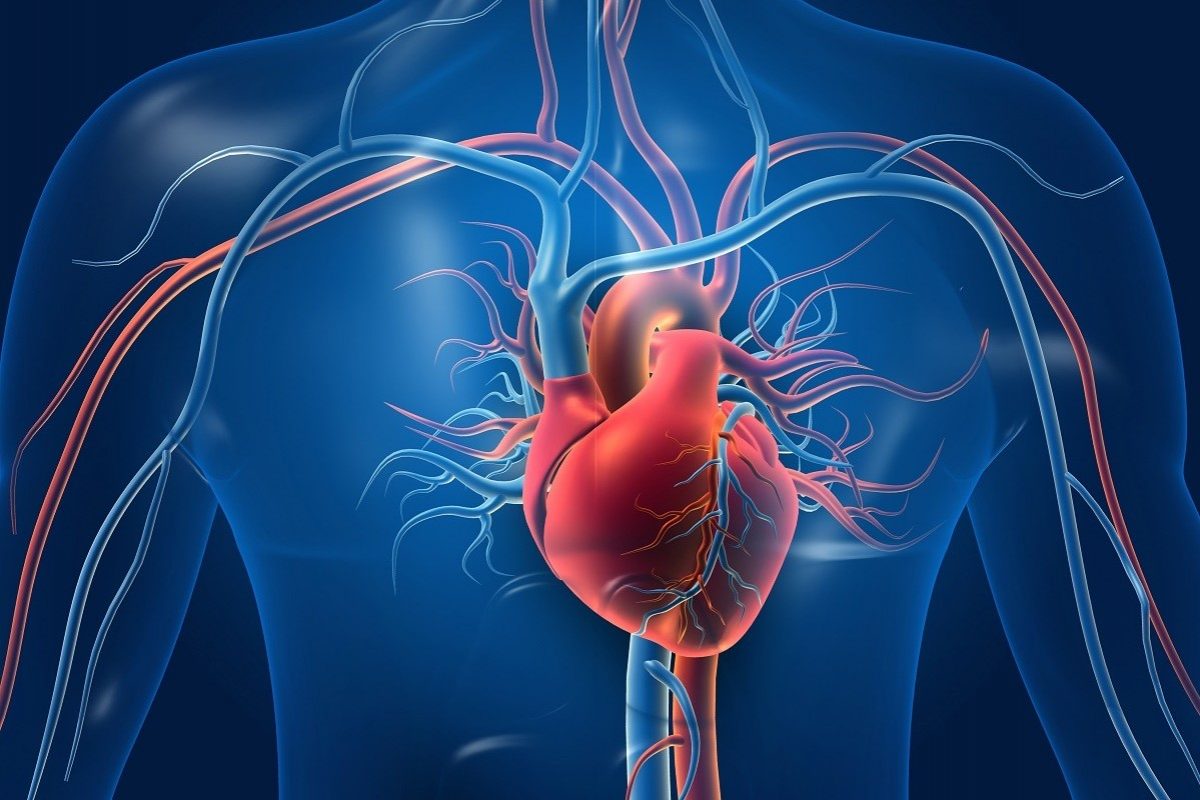 Arteriopathy: what it is, symptoms, diagnosis and treatment Arteriopathy: what it is, symptoms, diagnosis and treatment