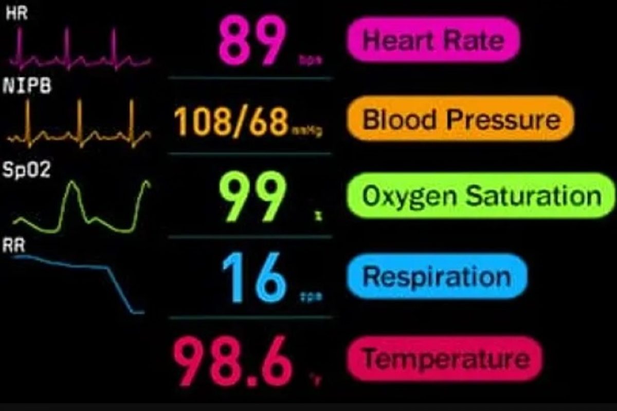 Vital Signs Monitor vs. Patient Monitor: Which Do You Need? - CardiacDirect