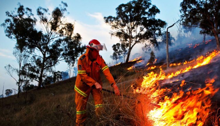 forest fire