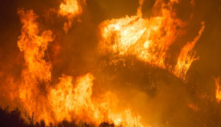 forest fire