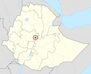Addis_Ababa_in_Ethiopia