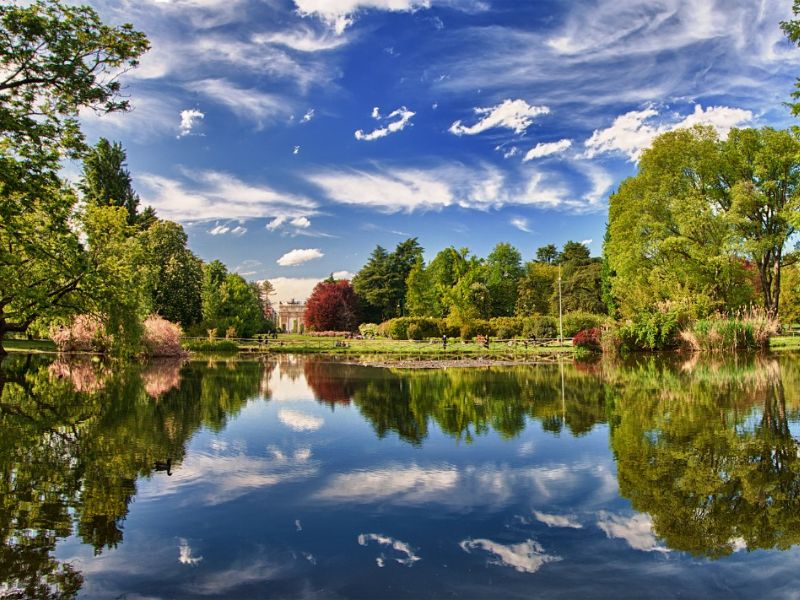 Living near green spaces reduces the risk of dementia